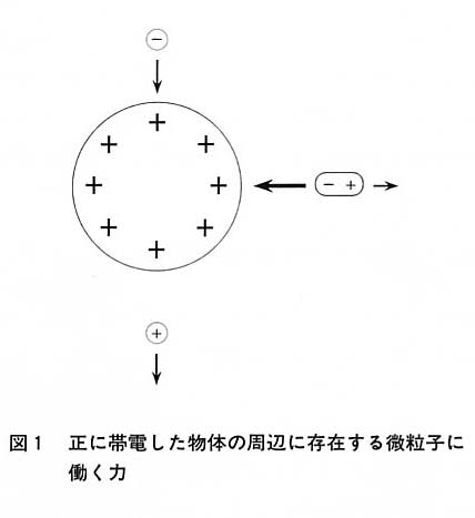 図１