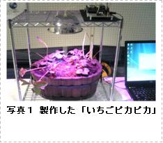 LEDによるイチゴ光合成促進システム『いちごピカピカ』の製作(H20)の画像2