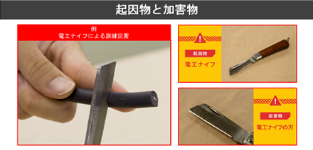 起因物と加害物の動画サムネイル